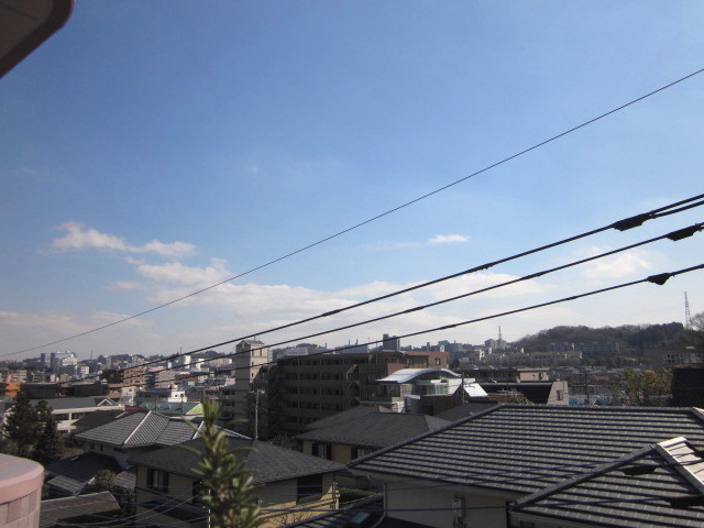 IMG_5167.jpg
