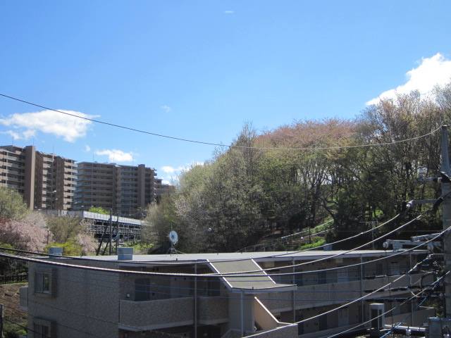 IMG_6350.jpg