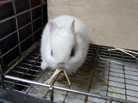 たからベビー