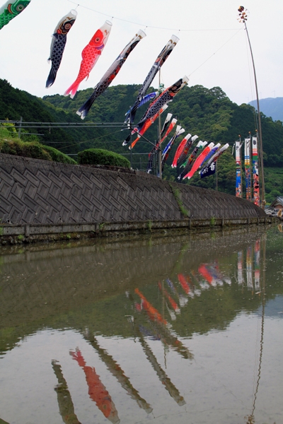 土佐の鯉のぼり