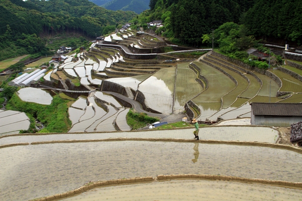 貝の川棚田