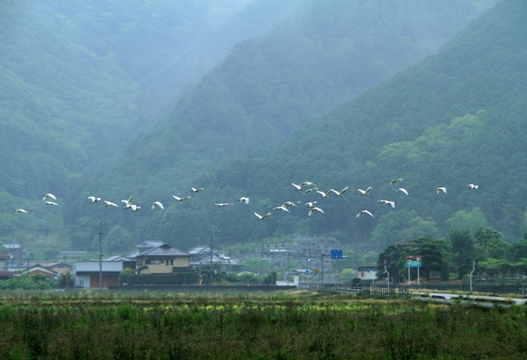 津島町