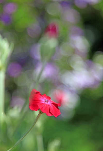 花