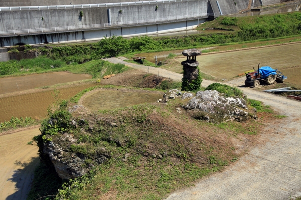 岩の上の田んぼ