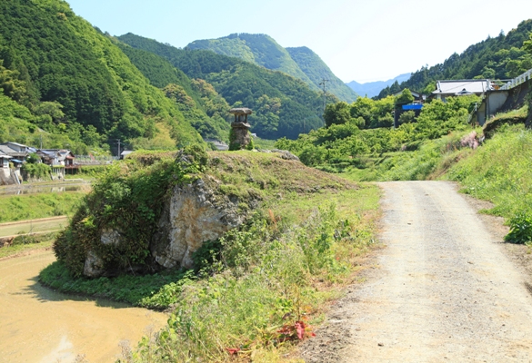 岩の上の田んぼ