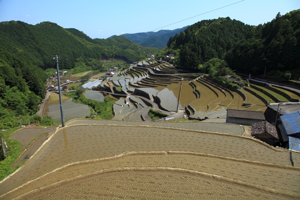 貝の川棚田