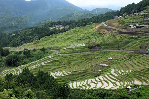 丸山千枚田