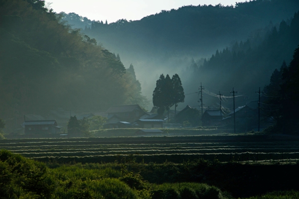 朝もやの村