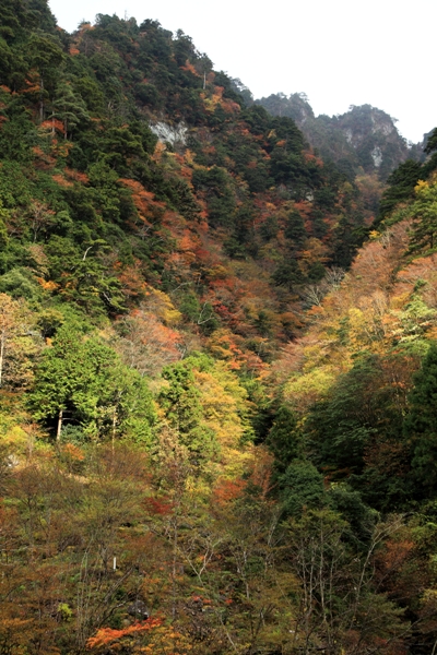 安居渓谷 (2)