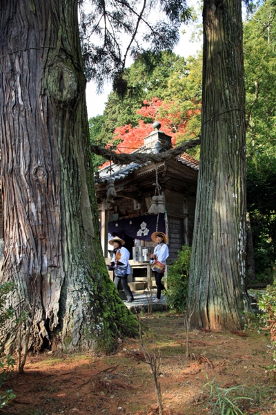明石寺の紅葉
