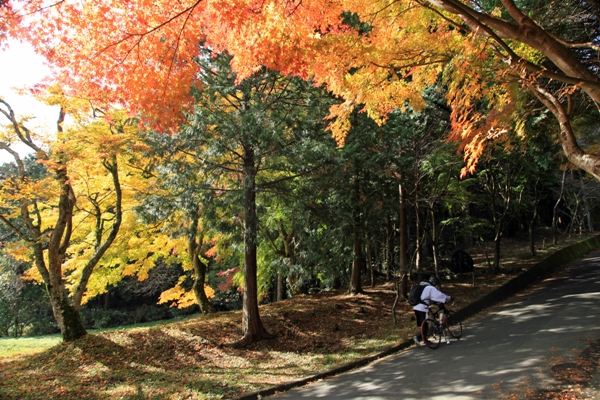 明石寺の紅葉 (2)