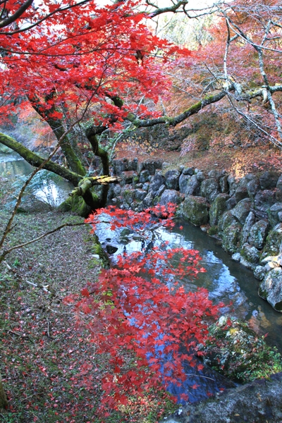 龍澤寺 (2)