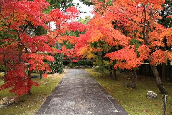 大乗寺の紅葉