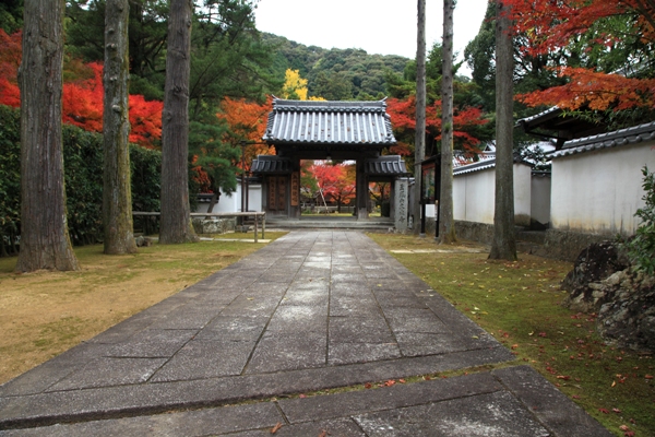 大乗寺の紅葉 (2)