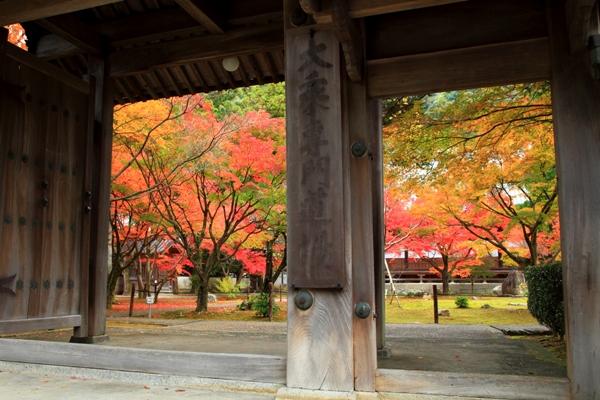 大乗寺の紅葉 (3)