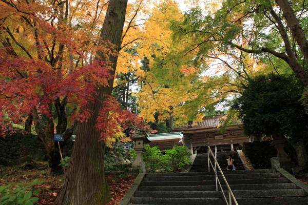 宇和の秋景 (1)