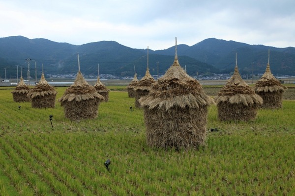 宇和の秋景 (2)