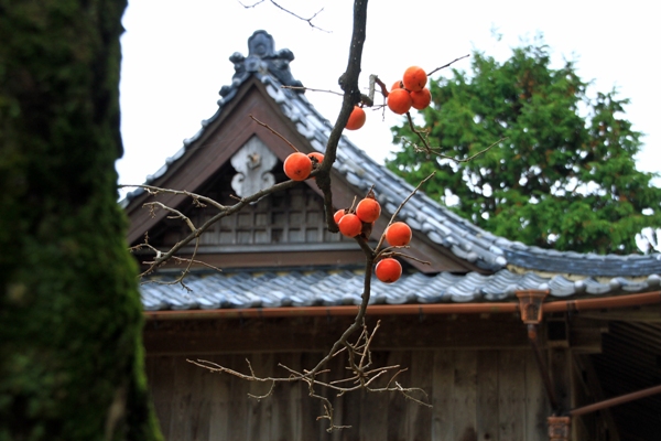 三間の秋景