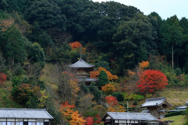 三間の秋景 (1)