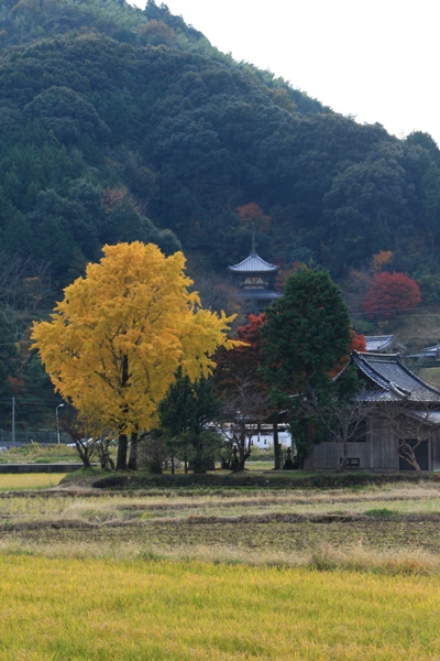 三間の秋景 (2)