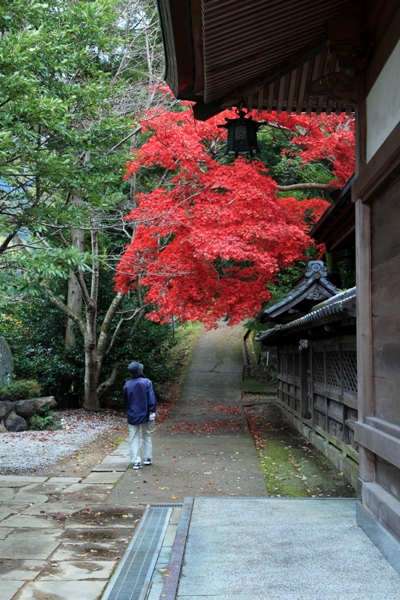 宇和津彦神社