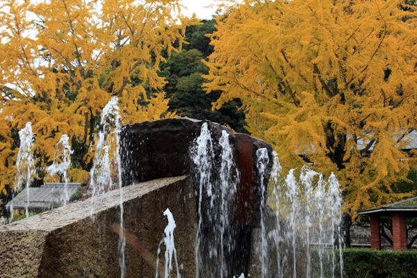 和霊公園