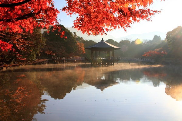 奈良公園