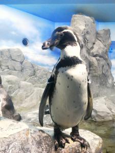 20120902_02a.jpg