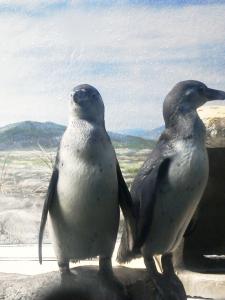 20120902_03a.jpg