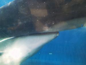 20120902_05a.jpg