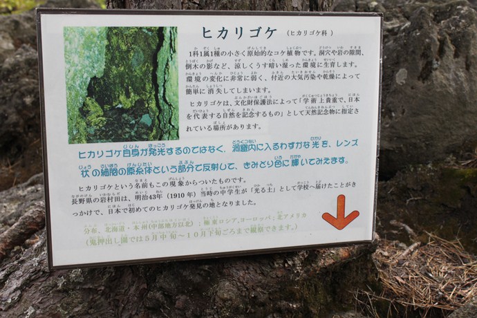 IMG_0453_20120823213010.jpg