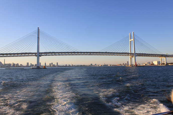IMG_0670_20130104033726.jpg