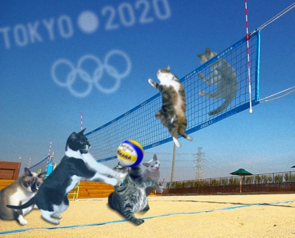 201411131100279f5やらいちょうさん東京五輪猫