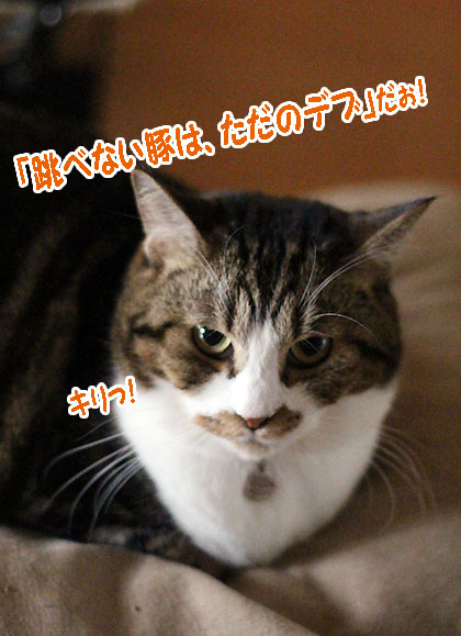 オリンピック2
