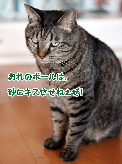 オリンピック4