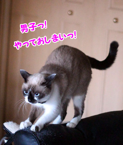 オリンピック5