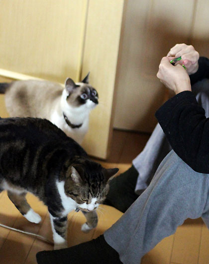 ちがい3