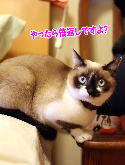 ちがい7