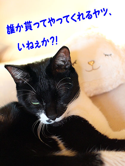 年賀状1