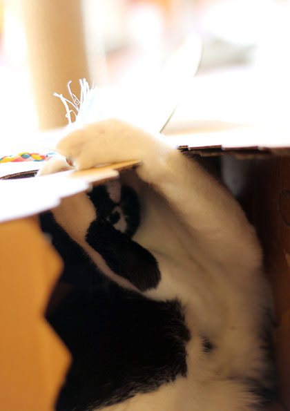 ねらって3