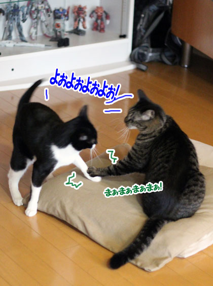 やんのか1
