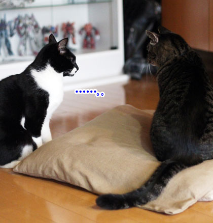 やんのか7