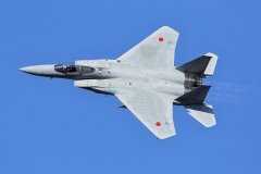 rescale2911.jpg