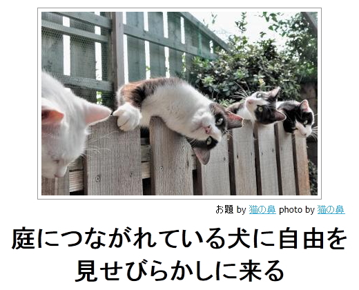 《庭につながれている犬に自由を見せびらかしに来る》