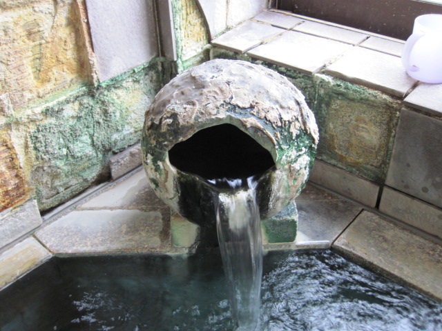 IMG_5406.jpg