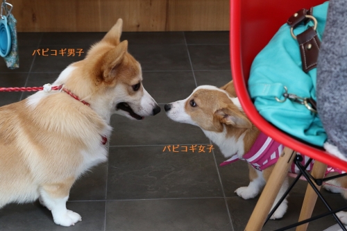0O9A0116.jpg