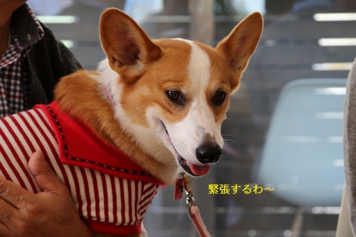 0O9A0179.jpg