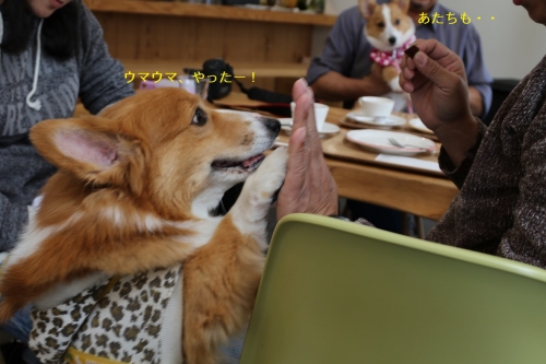 0O9A0195.jpg