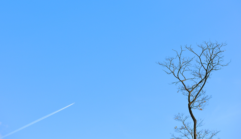DSC_5955.jpg