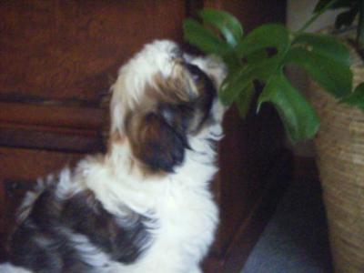 DSCF3973.jpg